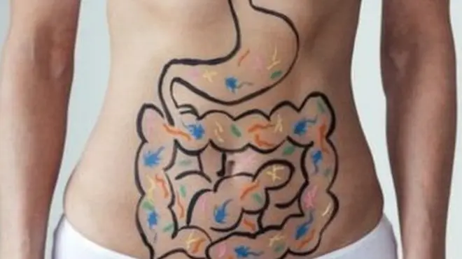 आंत, शरीर , स्वास्थ