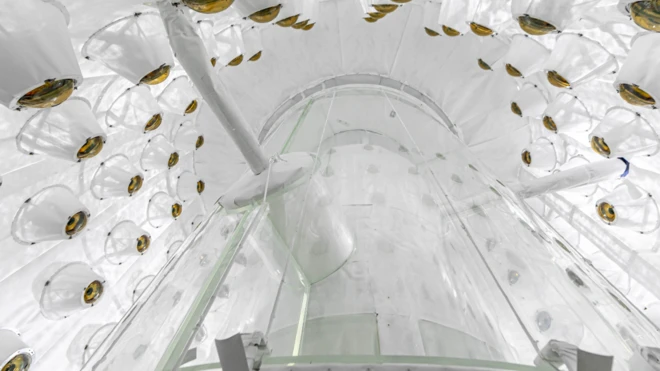 โครงสร้างชั้นเกือบในสุดของอุปกรณ์ตรวจจับสสารมืด LUX-ZEPLIN