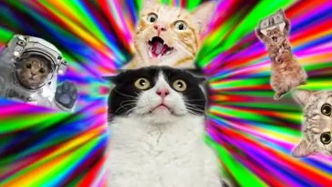 سکرول فری ستمبر