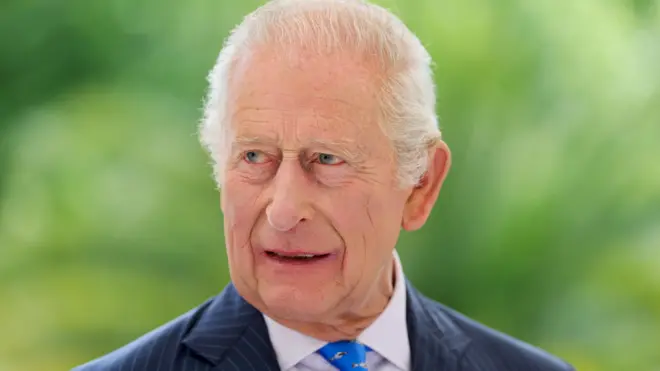 2025年6月撮影のチャールズ国王のバストショット。緑をバックに、青いネクタイを締めている