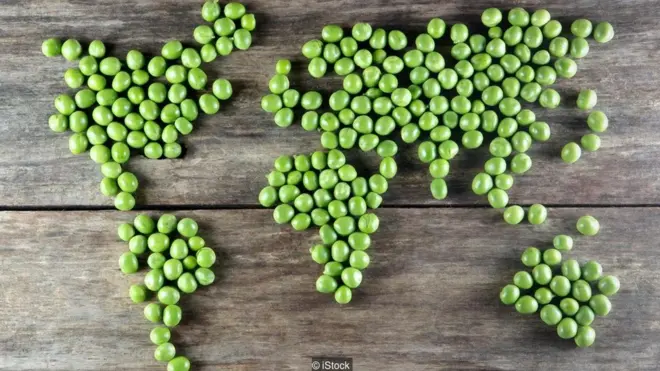 યુનિવર્સીટી ઓફ કેમ્બ્રિજના બેન ફલનના અનુસાર વિશ્વમાં માંસ નહિ હોવાથી ટર્કીવાસી તેમની પરંપરા ગુમાવી શકે છે