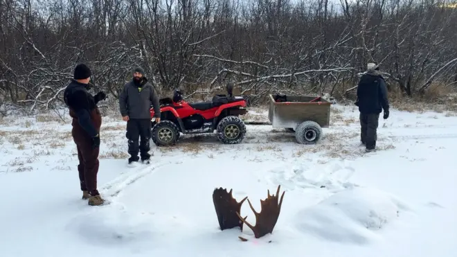 Mr Webster and Mr Erickson later went to collect the moose