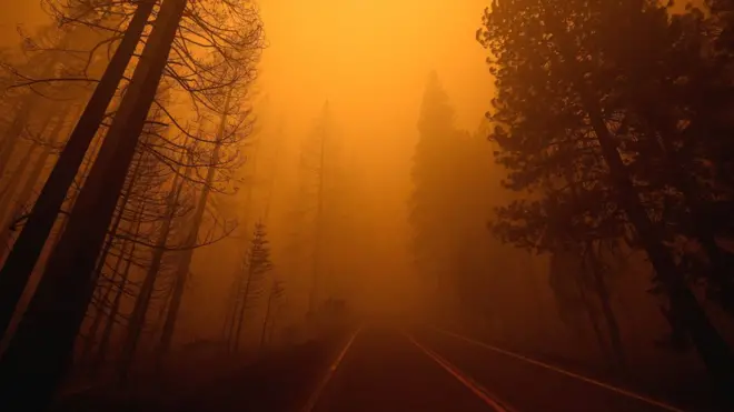 Пожар в Калифорнии