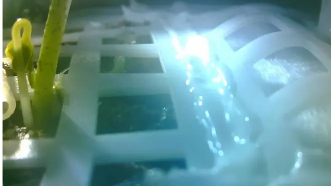 如圖片左側顯示，"嫦娥四號"攜帶至月球的棉花種子已經發芽。