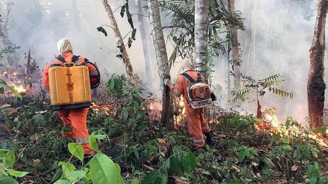 Bombeiros de Porto Velho combatem chamas em Rondônia