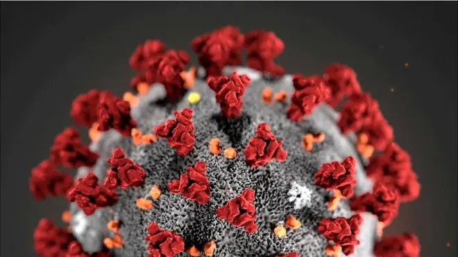 कोरोना वायरस