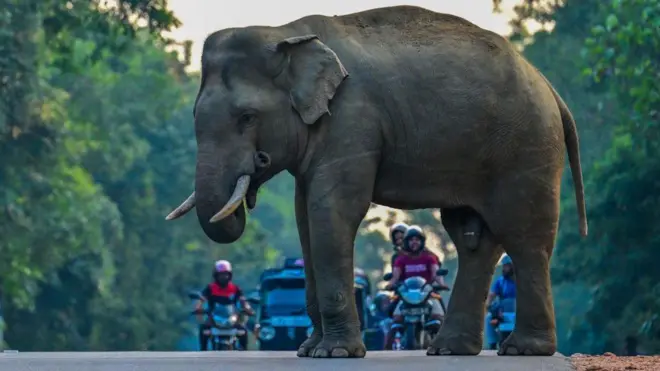 දිස්ත්‍රික්ක 19ක, ප්‍රාදේශීය ලේකම් කොට්ඨාස 134ක ජීවත් වන ජනතාවගේ ජීවිත සහ දේපළ රැකගන්නේ කෙසේද යන අභියෝගයට අදටත් අපි මුහුණ දී සිටින්නෙමු. 