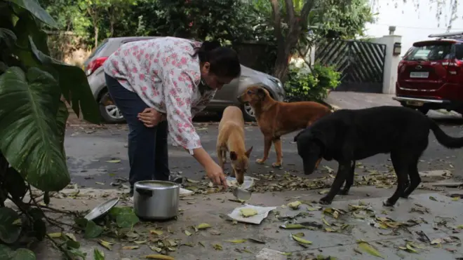 प्रतिकात्मक फोटो