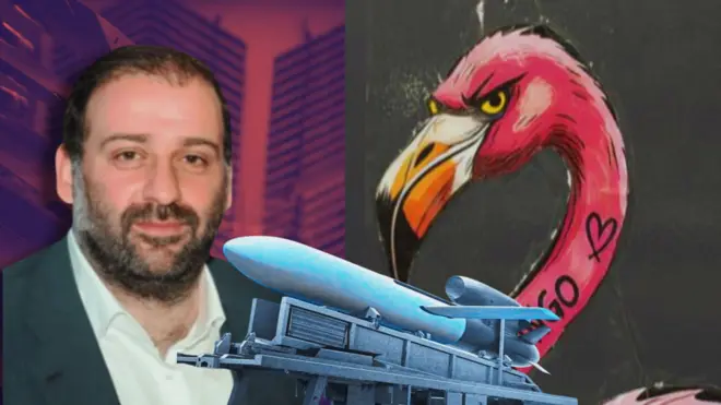 Колаж Тімур Міндіч поряд із зображенням птаха фламінго і ракети FP-5