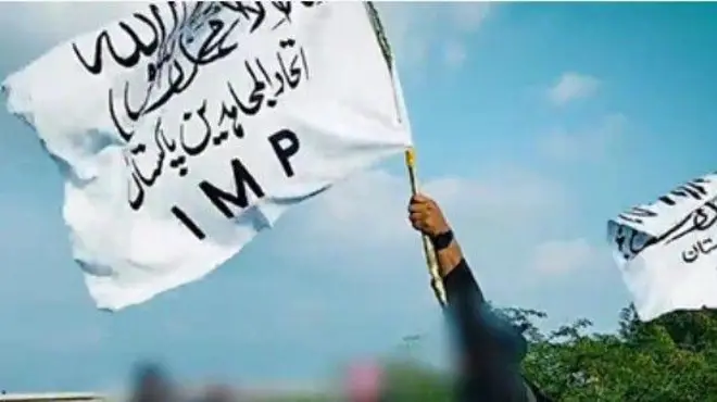 تنظیم کا پرچم