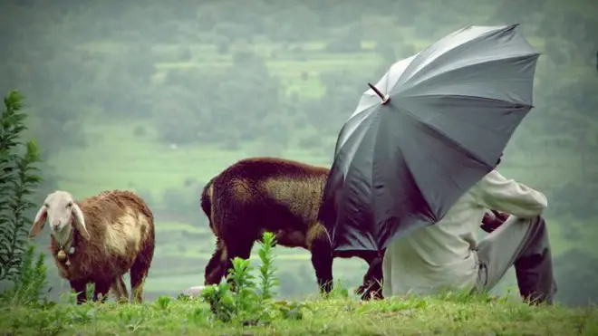 हवामान विभाग