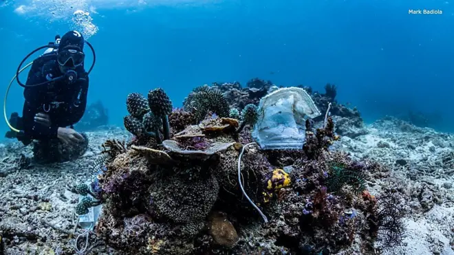 Diver next to a coral reef in the Philippines