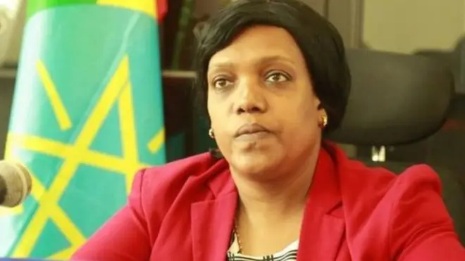 Aadde Abbabech Iraashoo, Afa-yaa'ii Mana Maree Godina Walaayitaa