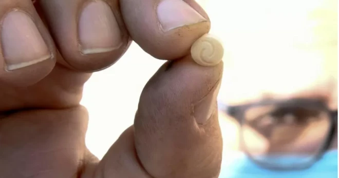 कैप्टागॉन