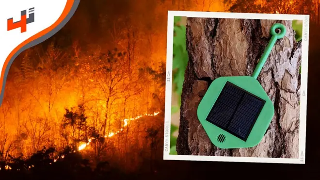 جهاز ذكي يساعد في الكشف عن حرائق الغابات عبر تثبيته بشكل سهل وبسيط على أي شجرة في الغابة، ويستخدم تقنيات حديثة يمكنه لاكتشاف أي تغير في حرارة الجو المحيط.