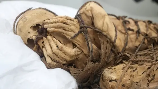 The pre-Inca Mummy of Cajamarquilla, presumed to be between 800 and 1200 years old, is exhibited at the Universidad Mayor de San Marcos, in Lima, Peru December 7, 2021