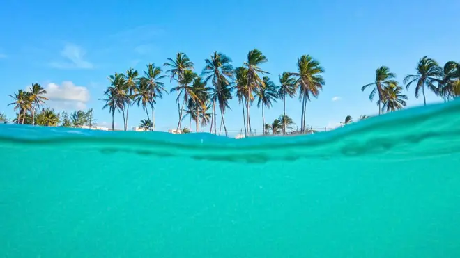 Agua turquesa en primer plano y en el fondo, palmeras de una isla tropical
