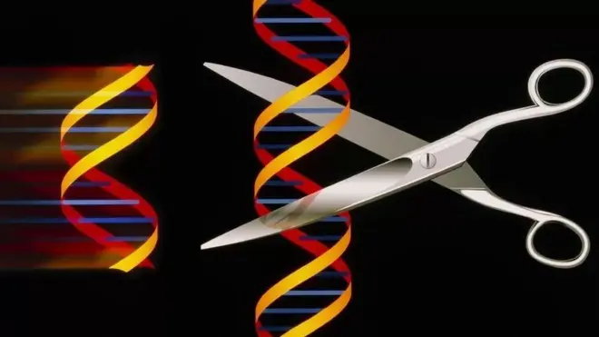 Tesoura cortando um trechobet365 30 bonusDNA