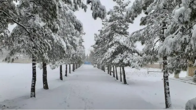 کوئٹہ میں برف باری