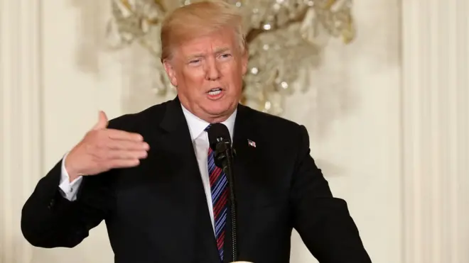 Дональд Трамп повідомив, що планує направити американських військових охороняти будівництво стіни з Мексикою