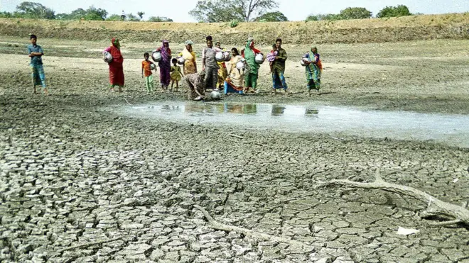 නියඟයෙන් බැට කන පුත්තලමේ ගොවීන්