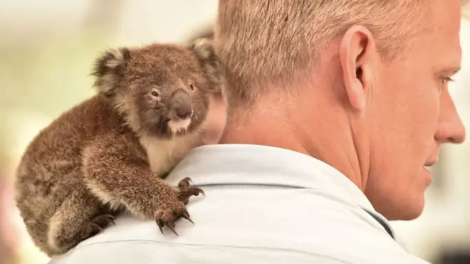 ऑस्ट्रेलिया