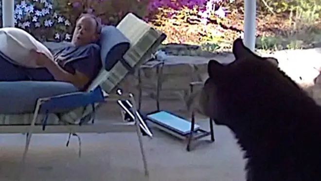 भालुसँगको जम्काभेट 