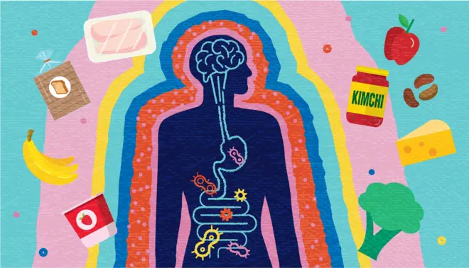 Ilustração do corpo humano cercado por diferentes tipos de alimentos