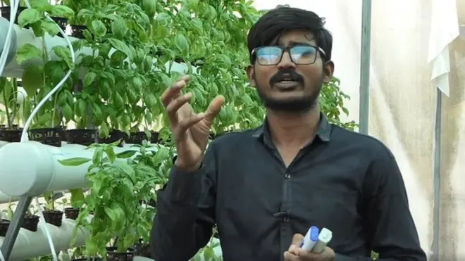 హైడ్రోఫోనిక్ వ్యవసాయం