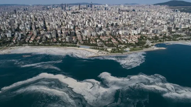 Deniz salyası Marmara'nın pek çok kentinde görülüyor