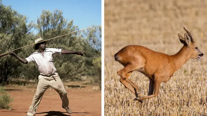 Namticha adamoorra jiru