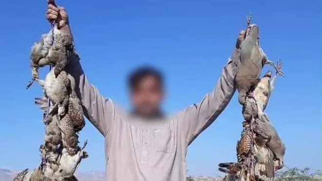 محکمہ جنگلی حیات کے ایک اعلیٰ عہدیدار کے مطابق وہ شکار جرم نہیں لیکن محکمہ ان لوگوں کے خلاف کارروائی کرتا ہے جو قانون کا احترام نہیں کرتے۔