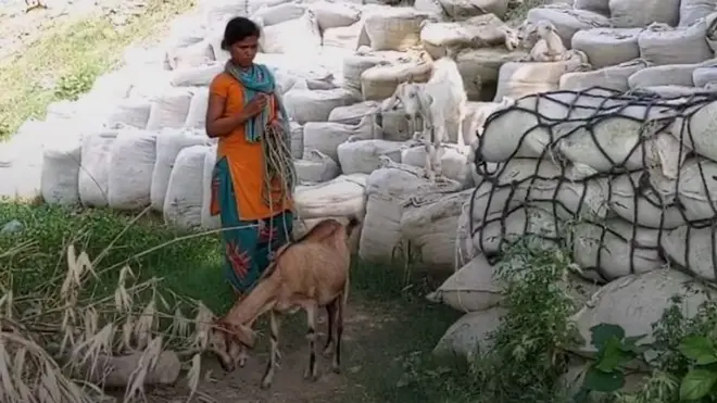 नेपाल भारत