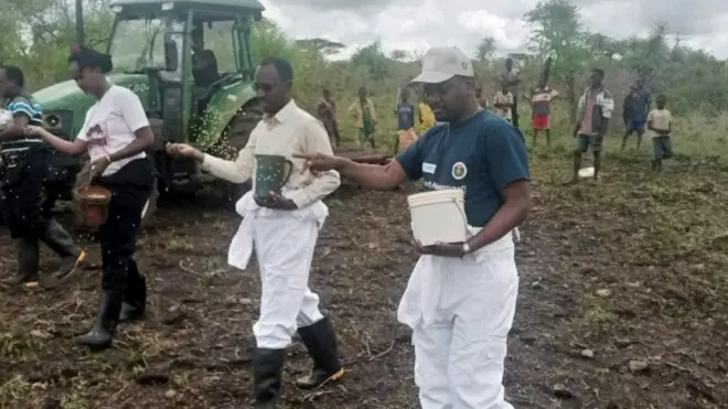 Namoota sanyii facaasaa jiran