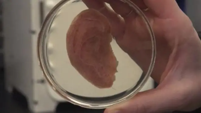 Ухо из яблока