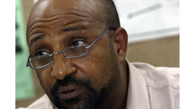 ብርሃኑ ነጋ (ፕሮፌሰር)