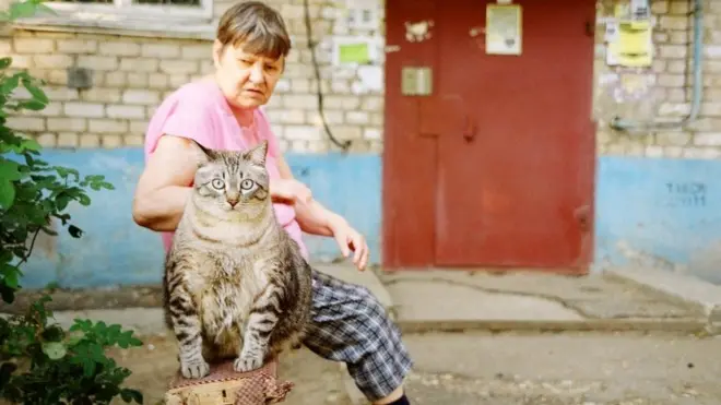 Александр Осадчий: "Для этого "котика" из г. Балаково, любая лавочка будет ветхой : )"