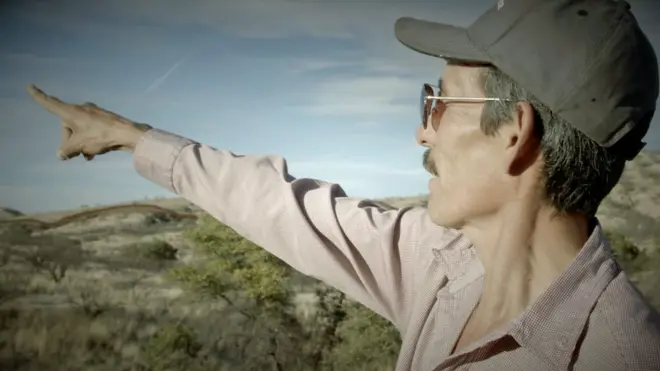 Coyote en Nogales, México