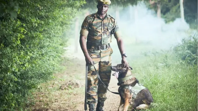 Prema jednom izveštaju, više od 18.000 kilograma slonovače je zaplenjeno u luci Mombasa između 2009. i 2014. godine.