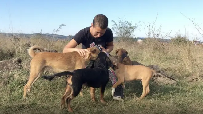 Волонтери Удружења Бета кажу да само у Зајечару има око 1.500 напуштених паса