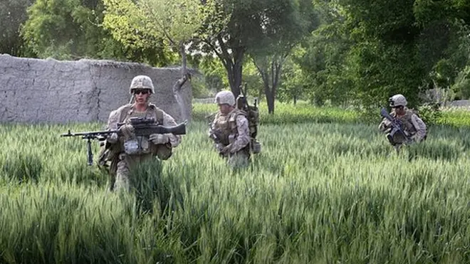 هزارها تفنگدار دریایی آمریکا در بیش از یک دهه گذشته برای مبارزه با شورشیان در هلمند که وسیع‌ترین کشت‌زارهای کوکنار/خشخاش را دارد، فرستاده شدند و این ولایت شاهد شدیدترین نبردها میان نیروهای ناتو و طالبان بوده است.