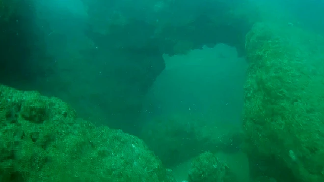 ప్రకృతి