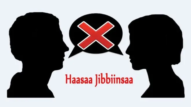 Labsii haasaa jibbiinsaa fi odeeffannoo sobaa Itoophiyaa