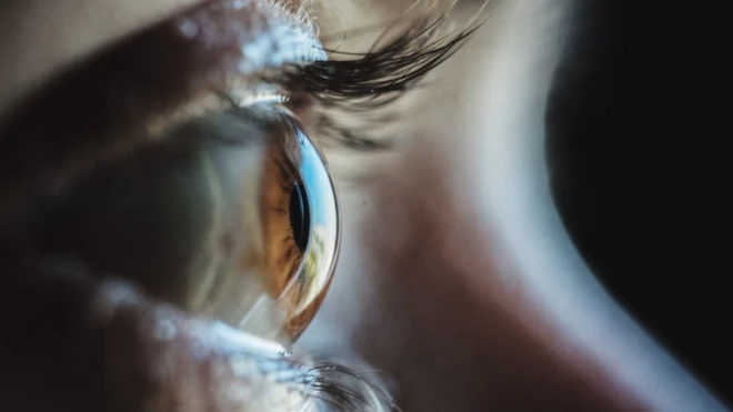 ภาพลูกตา