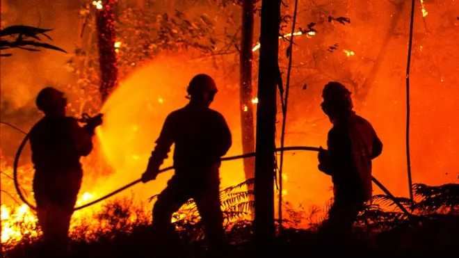 Bomberos combatiendo un incendio forestal