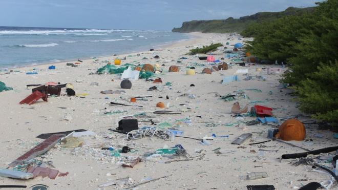 มีขยะพลาสติก ราว 37.7 ล้านชิ้นบนชายหาดของเกาะแฮนเดอร์สัน