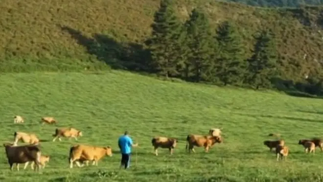 स्पेन के एस्टुरियस में पहाड़ों के बीच बसे गांव