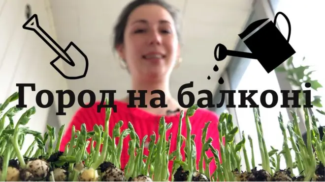 Як створити город на балконі