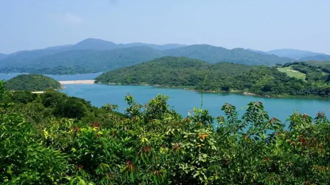 香港,小岛,废弃,盐田仔(图片来源:Kate Springer)