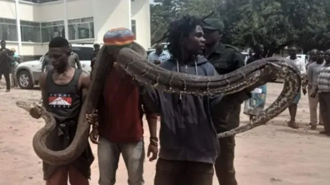 Tanzanians goment rescue snake